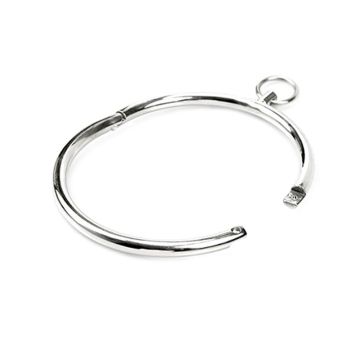 RVS Halsband Cathedral