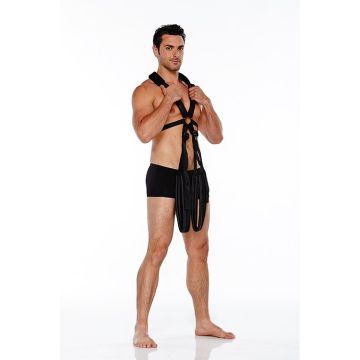 Body Swing Whipsmart