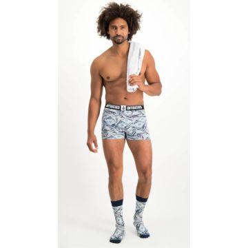 Untouched Dollar - Boxer
