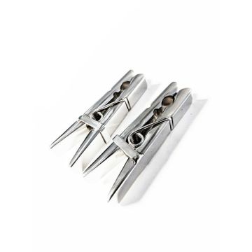 Roestvrijstalen BDSM Wasknijper Set 