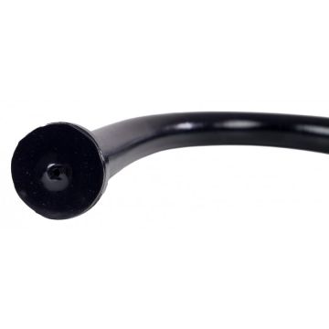 XXL Anaal Dildo Ringhal Spitting*