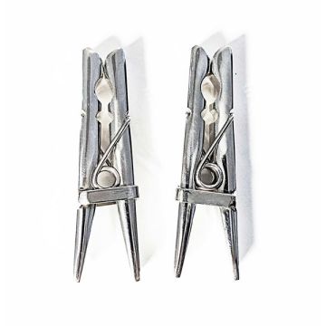Roestvrijstalen BDSM Wasknijper Set 