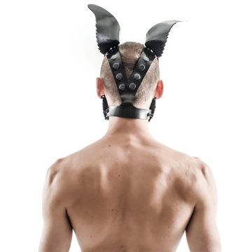 Hondenmasker Fetch Mister B