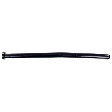 XXL Anaal Dildo Ringhal Spitting*