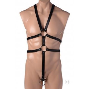 Male Full-Body Harness