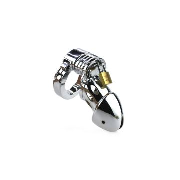 Metalen Peniskooi Modula - Zilver