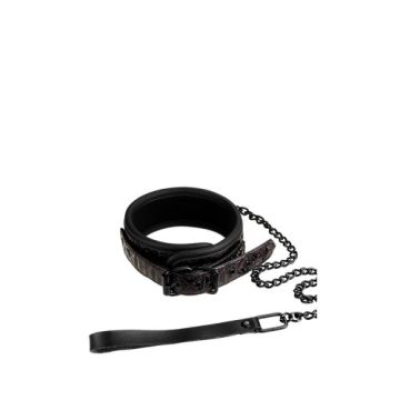 Blaze Collar And Leash Halsband Paars