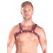 Mister B Leather Chest Harnas Rood