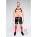 Maskulo Skulla Bulldog Harnas - Rood Maskulo Skulla Bulldog Harnas - Rood