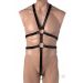 Male Full-Body Harness