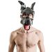 Hondenmasker Fetch Mister B
