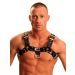 Fist Leather Chest Harness - Black