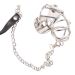 Chastity Cage