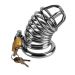 Kuisheidskooi Jailed Metal Chastity Case*