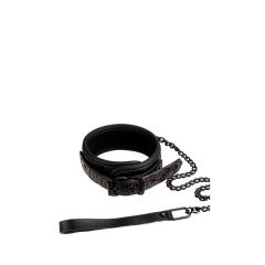 Blaze Collar And Leash Halsband Paars