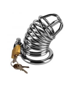 Kuisheidskooi Jailed Metal Chastity Case