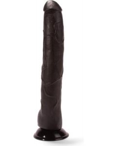 Lusty Lange Dildo Porter 32 cm